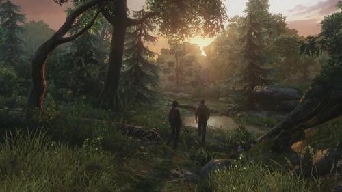 Last Of Us Forest