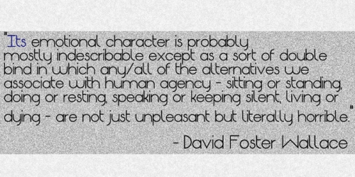 DQ David Foster Wallace